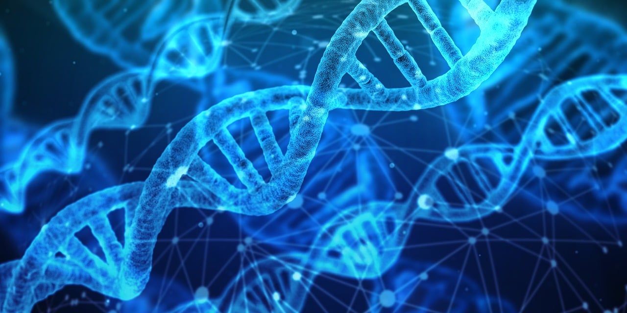 entdecken sie die neuesten innovationen in verschiedenen branchen. bleiben sie informiert über bahnbrechende technologien und kreative lösungen, die die zukunft gestalten.