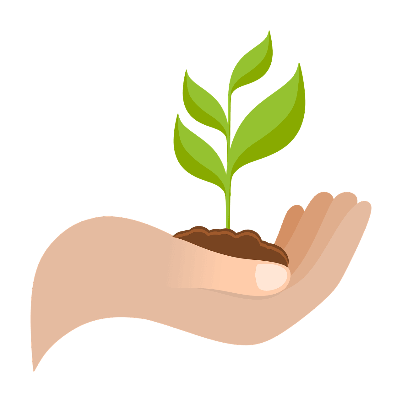 entdecken sie strategien und tipps für nachhaltiges wachstum. erfahren sie, wie unternehmen langfristigen erfolg erzielen und gleichzeitig umwelt und ressourcen schonen können.