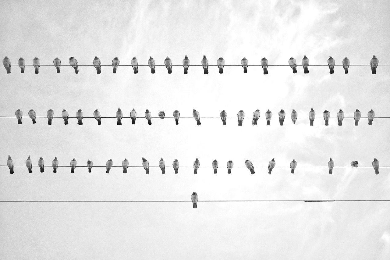 entdecken sie die schönheit der einfachheit mit 'simplicity'. tauchen sie ein in eine welt, in der klarer stil und minimale ablenkung im mittelpunkt stehen. perfekt für alle, die das wesentliche schätzen.