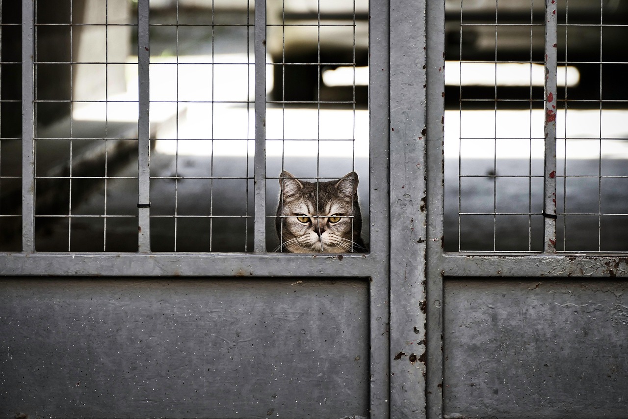 Wie kann Geduld im Alltag geholfen werden?