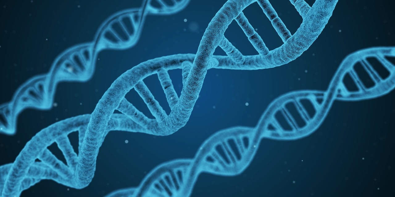 entdecken sie die faszinierenden neuheiten und entdeckungen, die die welt bereichern. von bahnbrechenden wissenschaftlichen durchbrüchen bis hin zu kulturellen schätzen – lassen sie sich inspirieren und erweitern sie ihr wissen über erstaunliche entdeckungen.