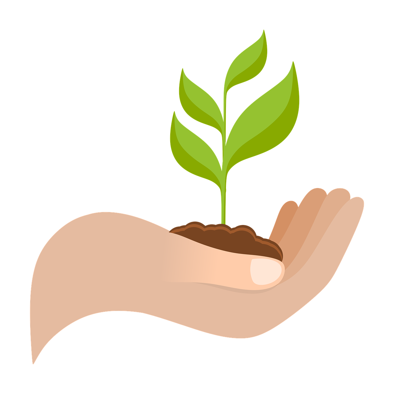 entdecken sie strategien und tipps für nachhaltiges wachstum. erfahren sie, wie unternehmen langfristigen erfolg erzielen und gleichzeitig umwelt und ressourcen schonen können.