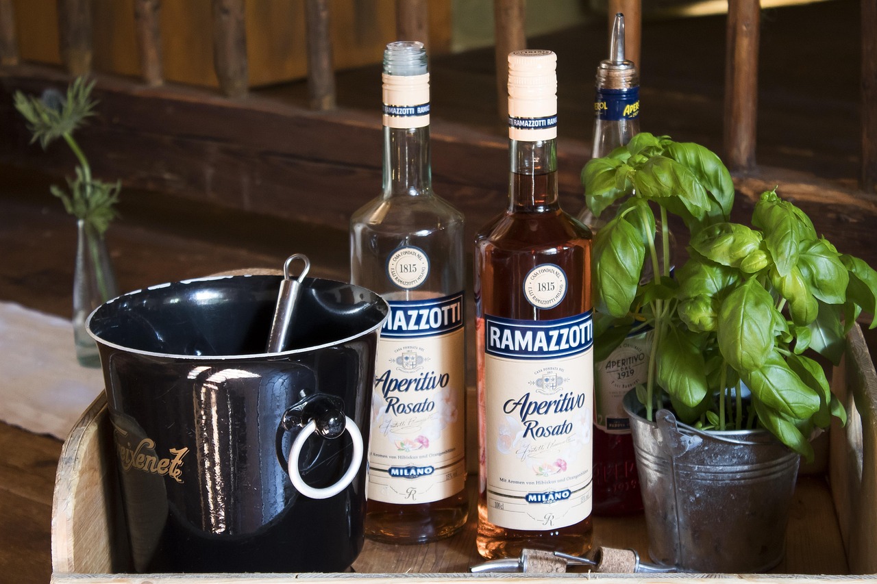 entdecken sie k&ouml;stliche aperitifs, die perfekt f&uuml;r den start ihrer mahlzeit sind. von erfrischenden cocktails bis zu klassischen getr&auml;nken &ndash; unsere aperitif-ideen bringen genuss und geselligkeit zusammen.